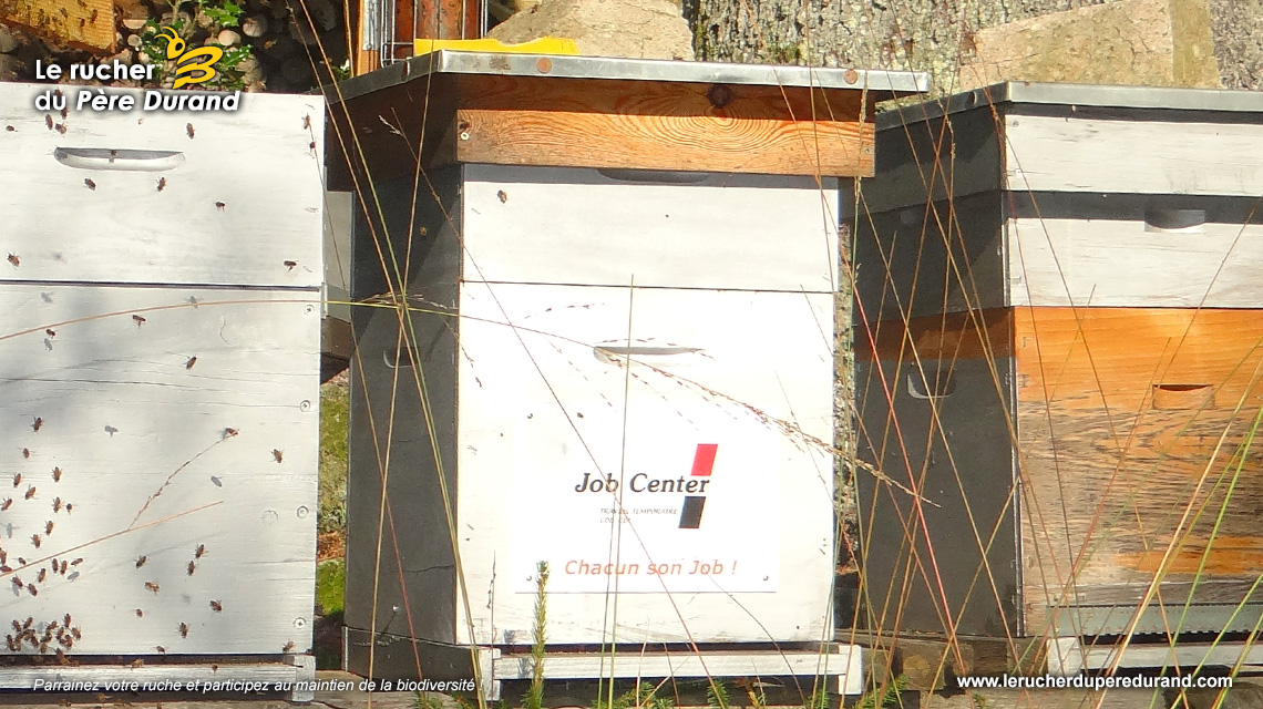 La ruche de Job Center