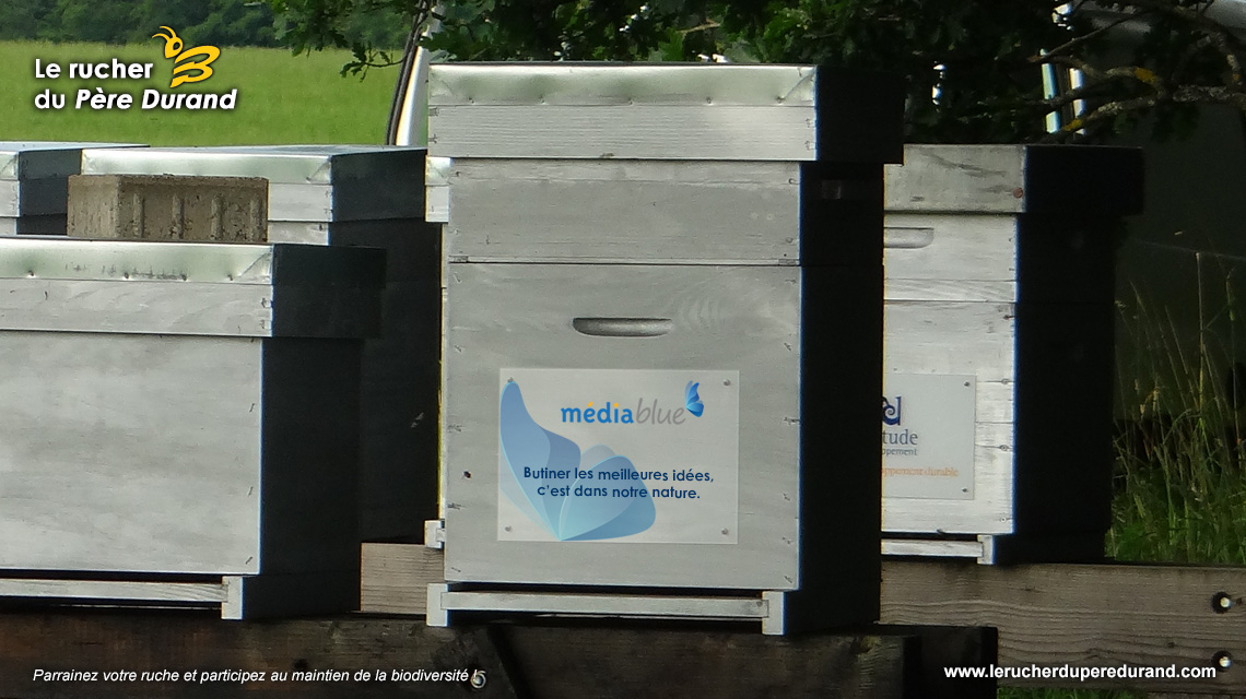 La ruche de Médiablue